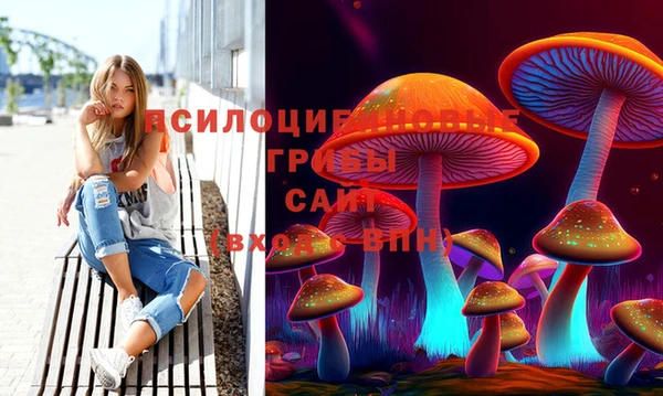 spice Медногорск