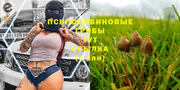 мяу мяу кристалл Медвежьегорск