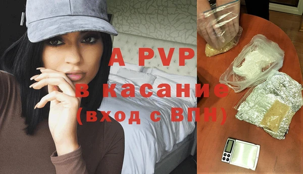 дмт Абаза