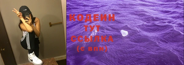 стаф Дмитров